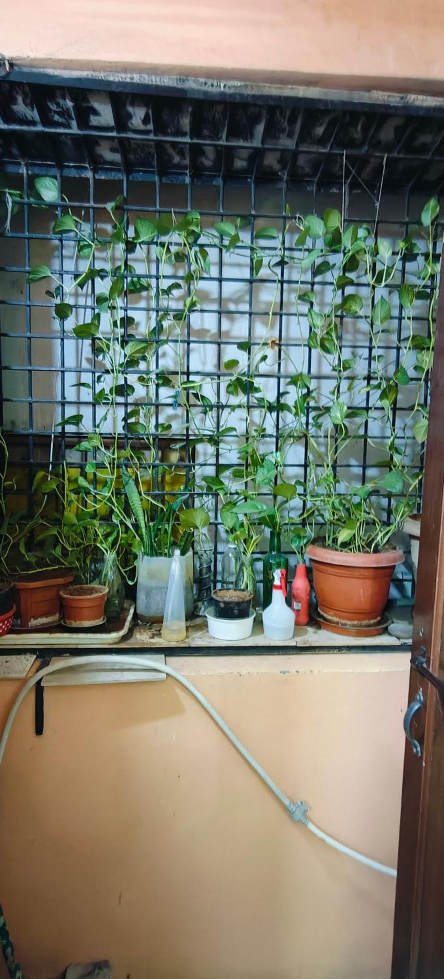 Rani'S Nest Διαμέρισμα Χιντεραμπάντ Εξωτερικό φωτογραφία